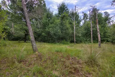 W8659 County Road O, Black River Falls, WI 54615 - Photo 47