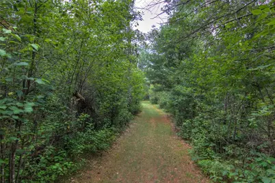 W8659 County Road O, Black River Falls, WI 54615 - Photo 49
