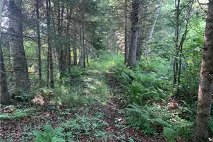 17564 Forest Rd 1285, Glidden, WI 54527 - Photo 23