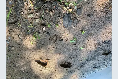 17564 Forest Road 1285, Glidden, WI 54527 - Photo 27