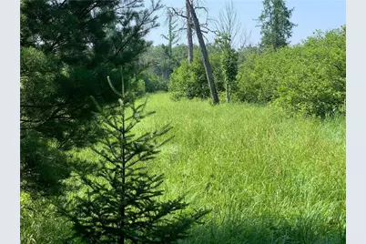 17564 Forest Road 1285, Glidden, WI 54527 - Photo 33