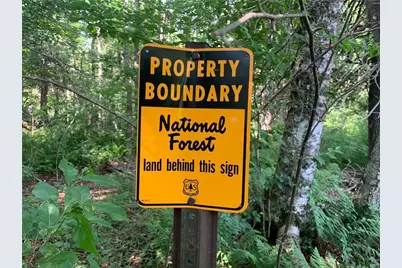 17564 Forest Road 1285, Glidden, WI 54527 - Photo 37