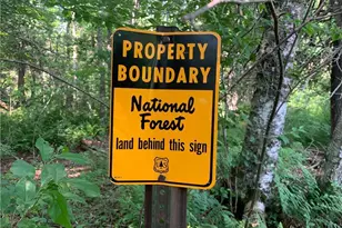 17564 Forest Rd 1285, Glidden, WI 54527 - Photo 37