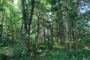 17564 Forest Rd 1285, Glidden, WI 54527 - Photo 9