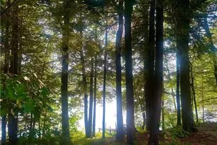 15050 367th St, Stanley, WI 54768 - Photo 7