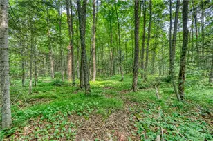 48400 Old Grade Rd, Cable, WI 54821 - Photo 43