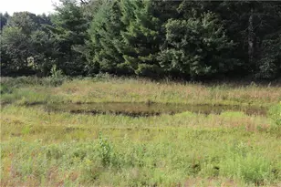 N12757 Rindahl Valley Rd, Osseo, WI 54758 - Photo 57