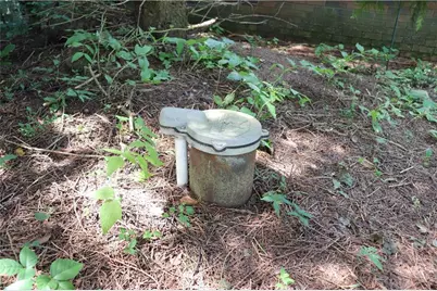 N12757 Rindahl Valley Road, Osseo, WI 54758 - Photo 47