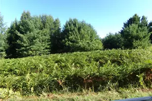 7581 S Marsik Rd Lot 4, Lake Nebagamon, WI 54849 - Photo 5