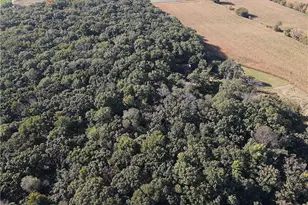 E8403 State Road 85, Mondovi, WI 54755 - Photo 45