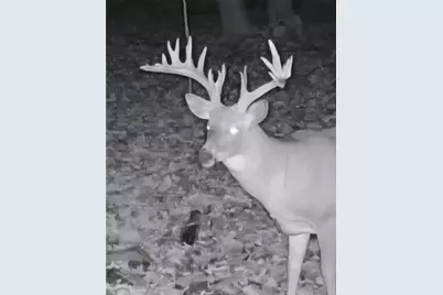 W16694 Hogback Road, Chetek, WI 54728 - Photo 53