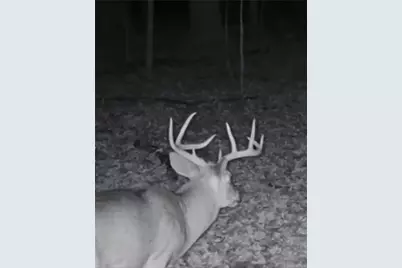 W16694 Hogback Road, Chetek, WI 54728 - Photo 51