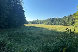 W14297 State Hwy 8, Weyerhaeuser, WI 54895 - Photo 47