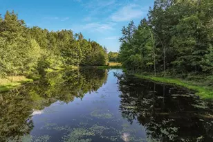 W14297 State Hwy 8, Weyerhaeuser, WI 54895 - Photo 5