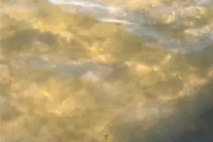 2036C 135th St, Milltown, WI 54858 - Photo 25