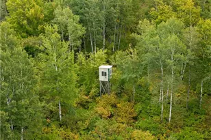 7756 W Old Hwy 70, Winter, WI 54896 - Photo 57