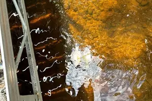 12980 Lodge Rd, Hayward, WI 54843 - Photo 11