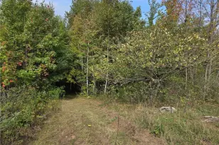 1449 3 1/2 Ave, Dallas, WI 54733 - Photo 49