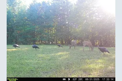 7512 W Poertner Road, Neillsville, WI 54456 - Photo 41