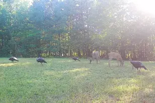 7512 W Poertner Rd, Neillsville, WI 54456 - Photo 41