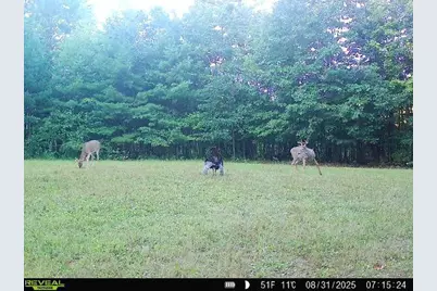 7512 W Poertner Road, Neillsville, WI 54456 - Photo 39