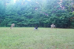 7512 W Poertner Rd, Neillsville, WI 54456 - Photo 39