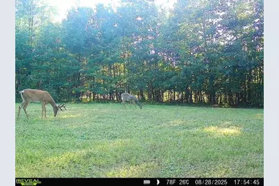 7512 W Poertner Road, Neillsville, WI 54456 - Photo 37