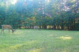 7512 W Poertner Rd, Neillsville, WI 54456 - Photo 37