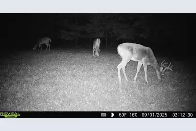 7512 W Poertner Road, Neillsville, WI 54456 - Photo 43