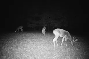 7512 W Poertner Rd, Neillsville, WI 54456 - Photo 43