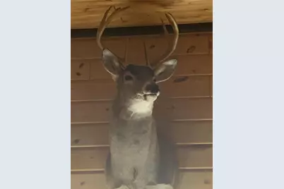 29031 French Road, Danbury, WI 54830 - Photo 35