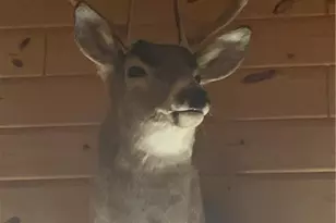 29031 French Rd, Danbury, WI 54830 - Photo 35