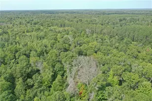 29031 French Rd, Danbury, WI 54830 - Photo 29