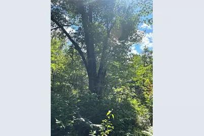 29031 French Road, Danbury, WI 54830 - Photo 21