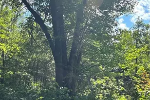 29031 French Rd, Danbury, WI 54830 - Photo 21