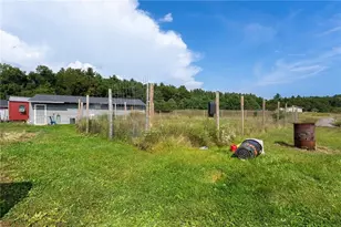 N3555 Nichols Rd, Black River Falls, WI 54615 - Photo 35