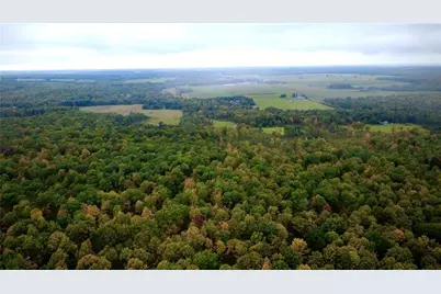 247125 Nehrbass Road, Athens, WI 54411 - Photo 7