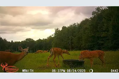 W6674 Poertner Road, Neillsville, WI 54456 - Photo 51