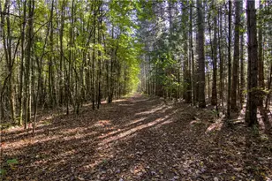 W6674 Poertner Rd, Neillsville, WI 54456 - Photo 43