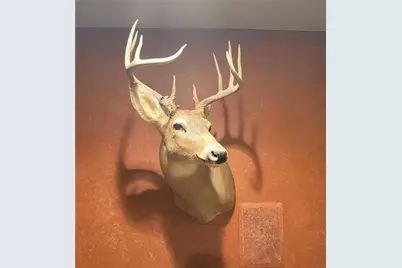 W10821 Johnson Road, Merrillan, WI 54754 - Photo 25