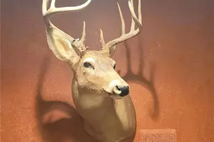 W10821 Johnson Rd, Merrillan, WI 54754 - Photo 25