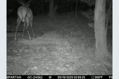 W10821 Johnson Road, Merrillan, WI 54754 - Photo 35