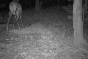 W10821 Johnson Rd, Merrillan, WI 54754 - Photo 35