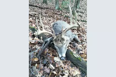 W10821 Johnson Road, Merrillan, WI 54754 - Photo 29