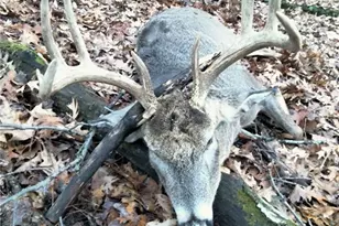 W10821 Johnson Rd, Merrillan, WI 54754 - Photo 29