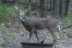 W10821 Johnson Rd, Merrillan, WI 54754 - Photo 27