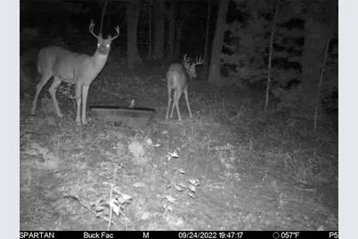 W10821 Johnson Road, Merrillan, WI 54754 - Photo 31