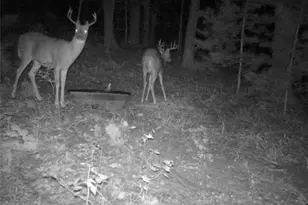 W10821 Johnson Rd, Merrillan, WI 54754 - Photo 31