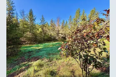 Xx153 River Road, Saint Croix Falls, WI 54024 - Photo 5