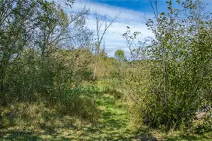 W16396 County Rd C, Taylor, WI 54659 - Photo 19